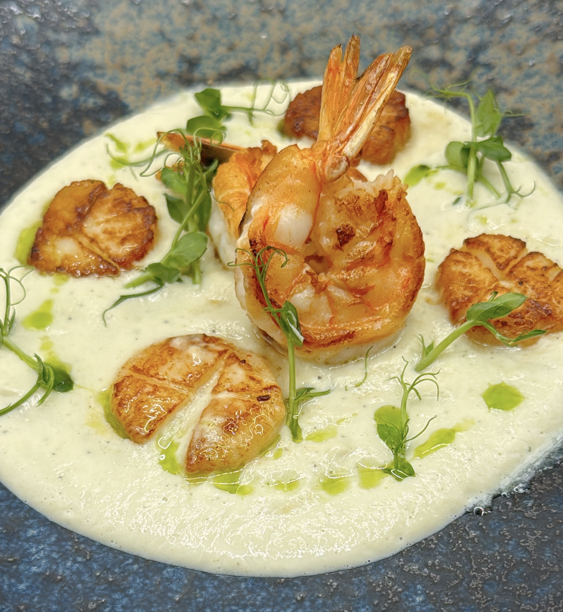 Scallop & Shrimp