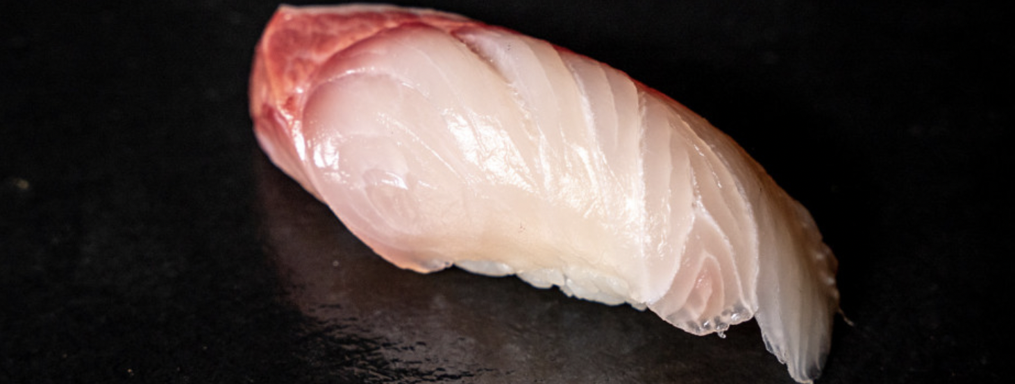 Baby Yellowtail