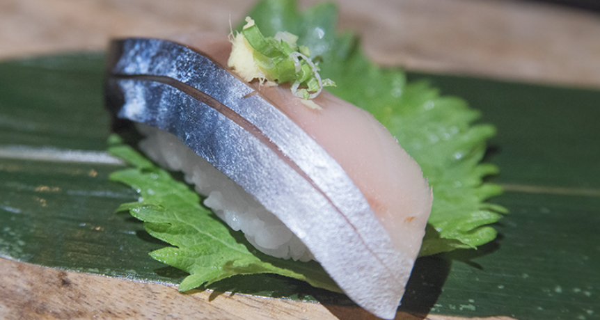 Mackerel